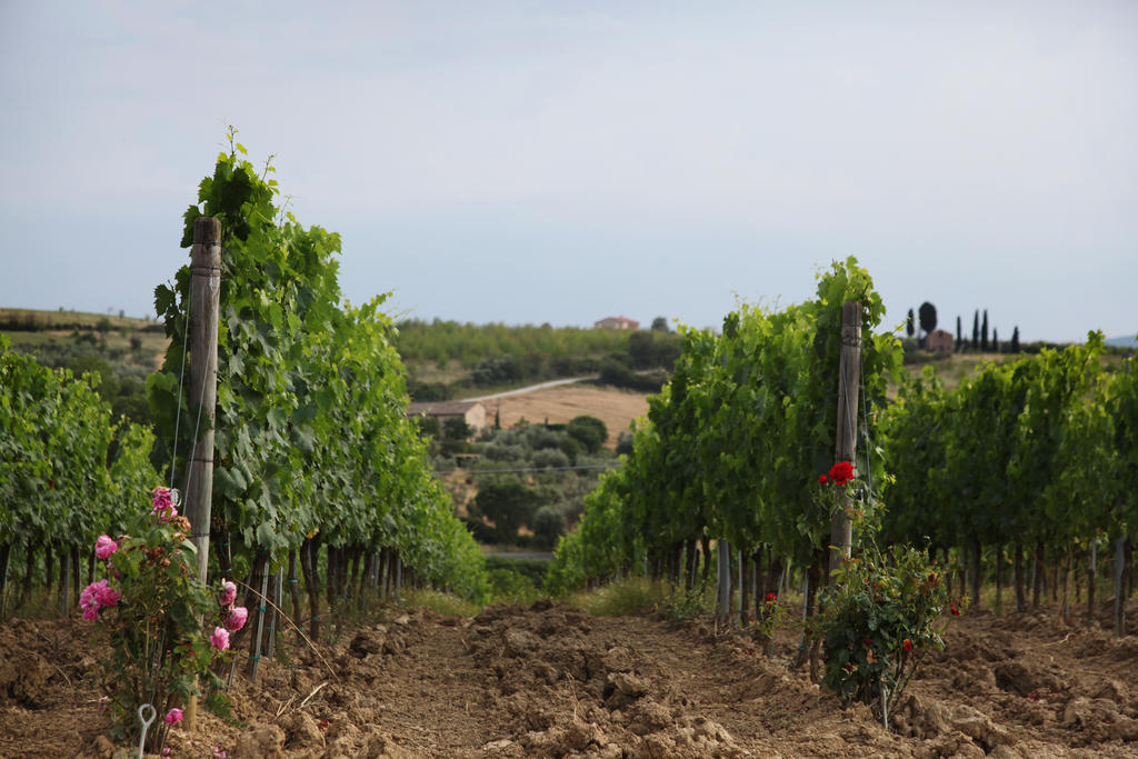 Agriturismo Bagnaia San Quirico dʼOrcia Exterior foto