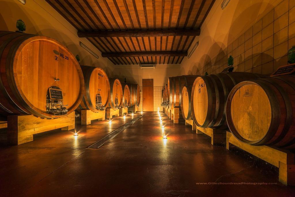 Agriturismo Bagnaia San Quirico dʼOrcia Exterior foto