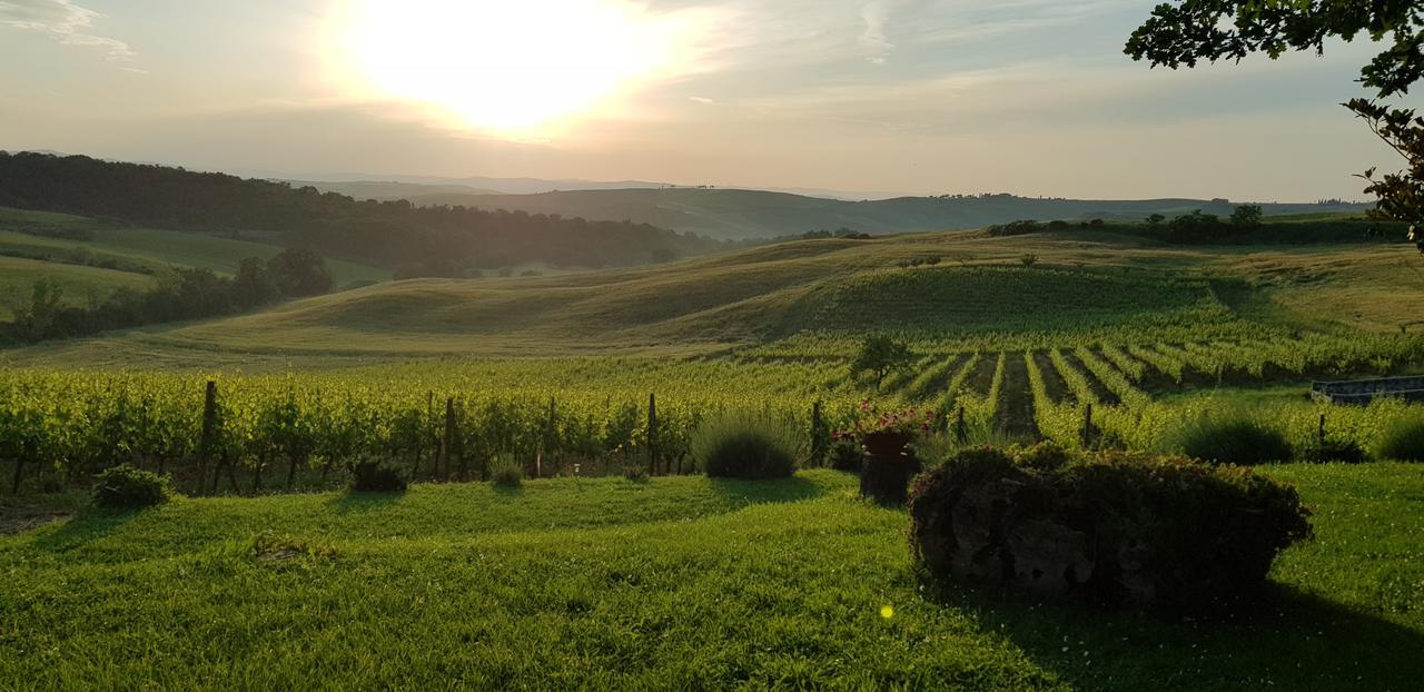 Agriturismo Bagnaia San Quirico dʼOrcia Exterior foto